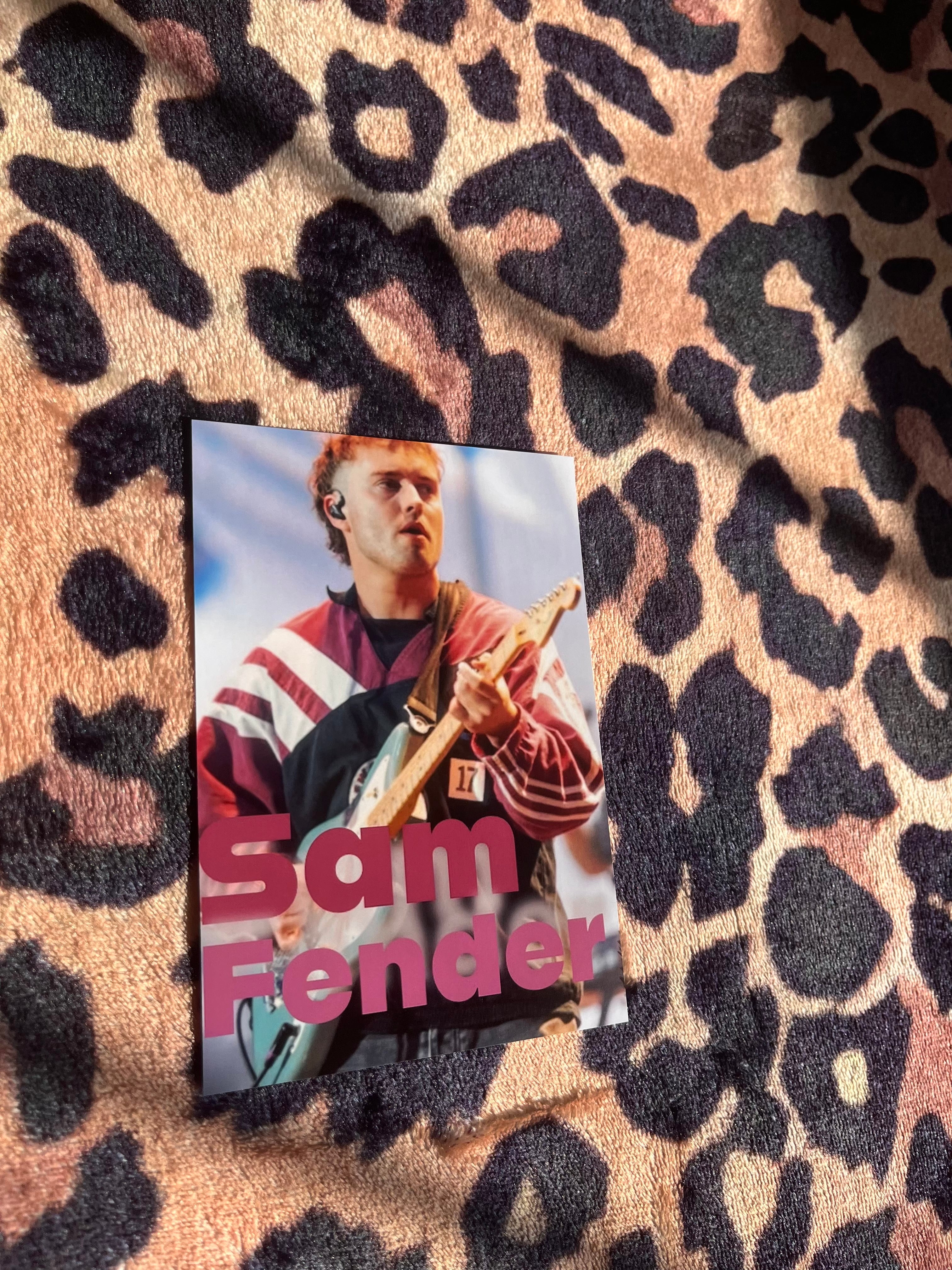 Sam fender poster!