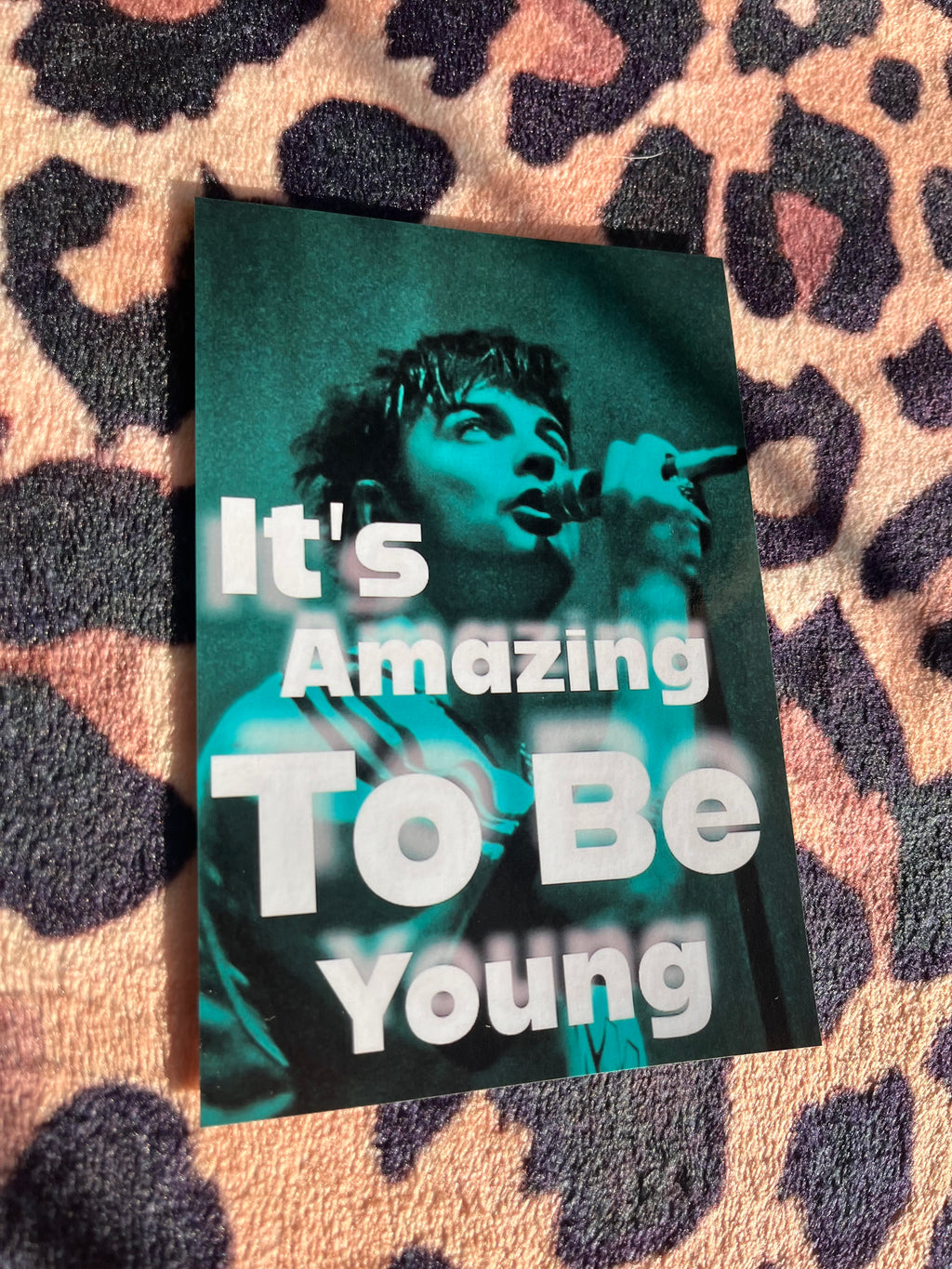 Fontaines DC it’s amazing to be young poster in green! 🎸🪲