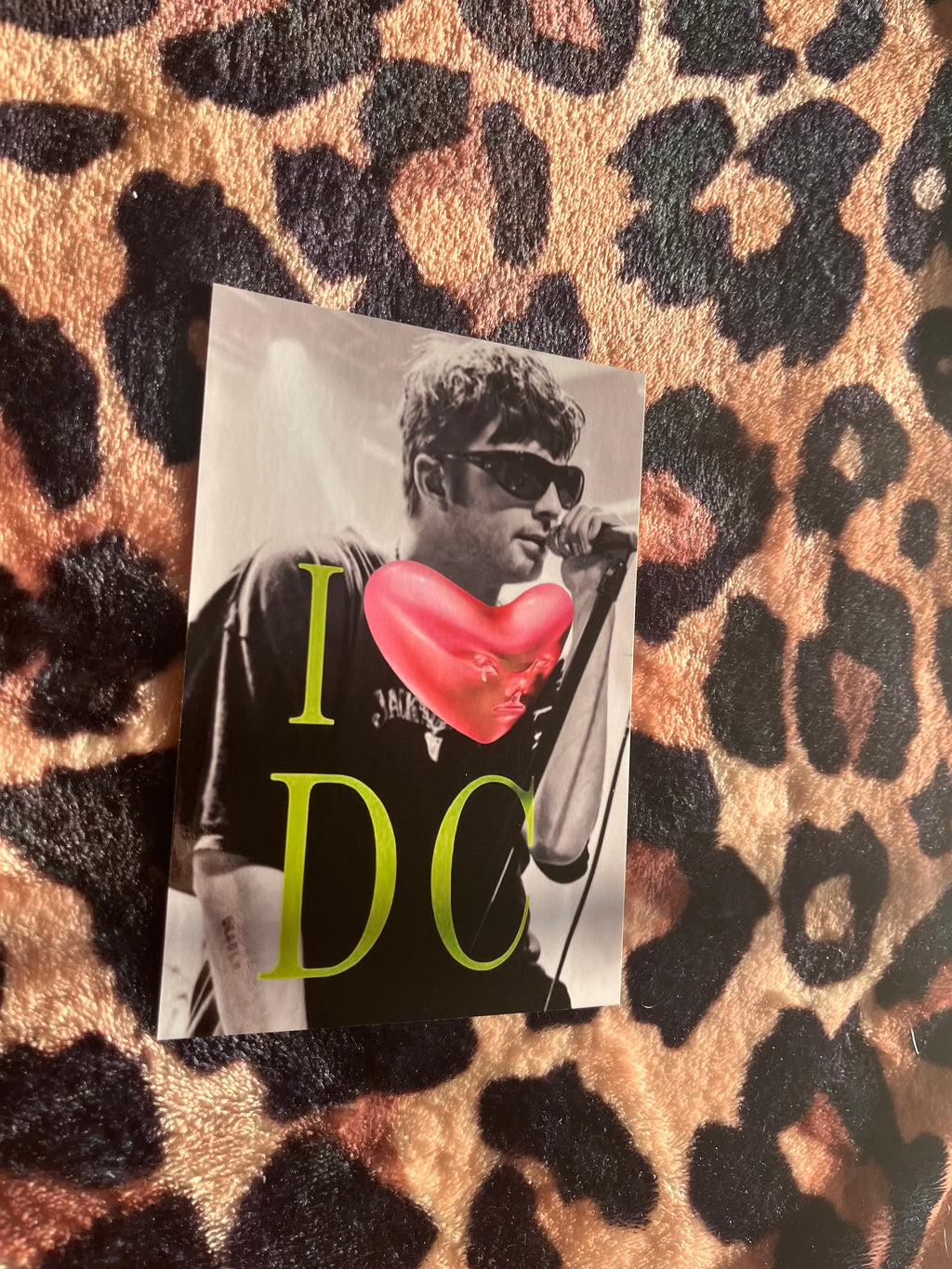 Fontaines DC I love DC poster! 🪲💕