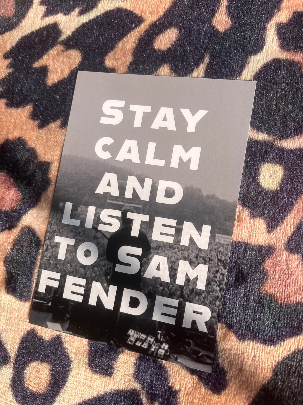 Stay calm and listen to Sam fender poster!