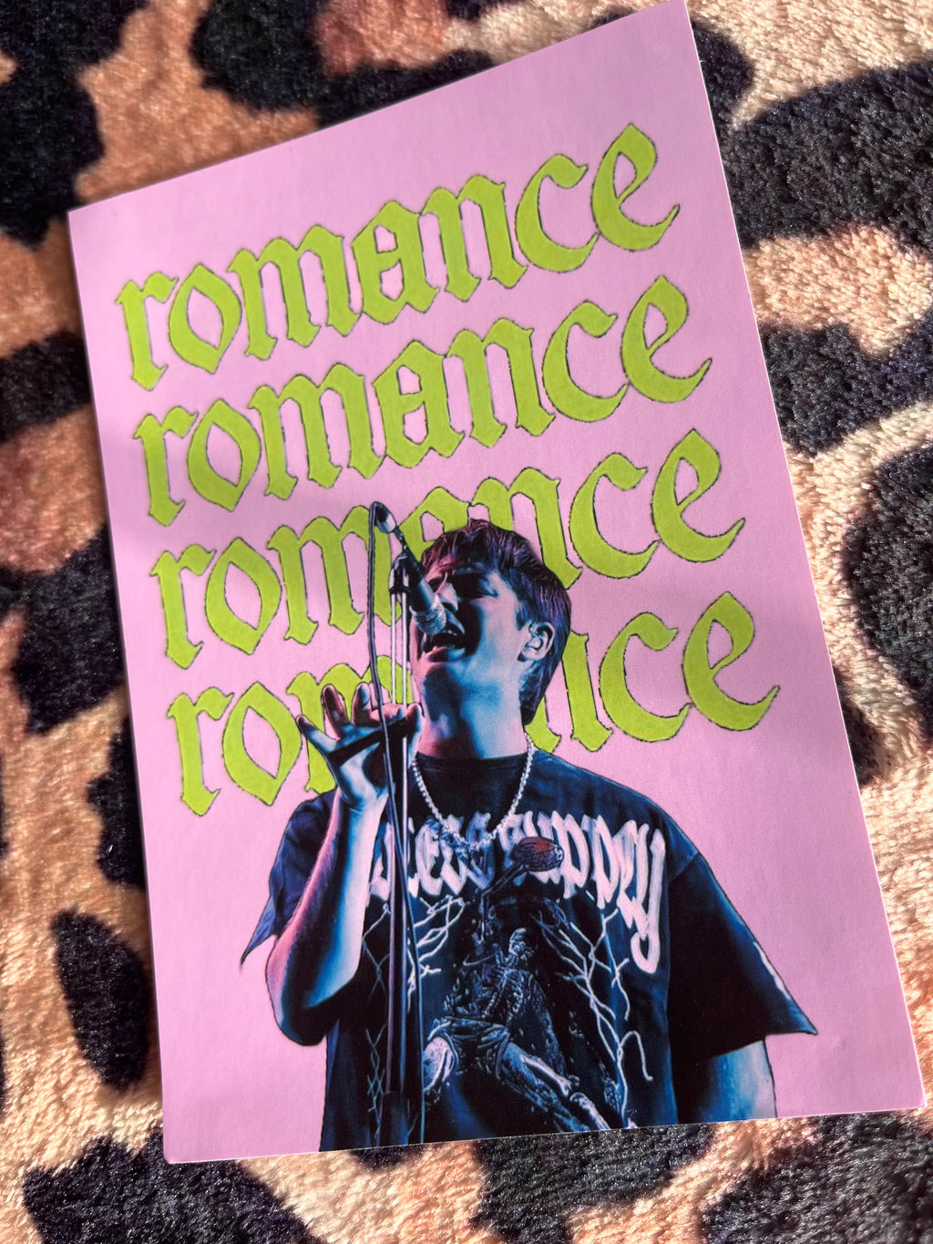 Fontaines DC romance pink poster! 🪲💕