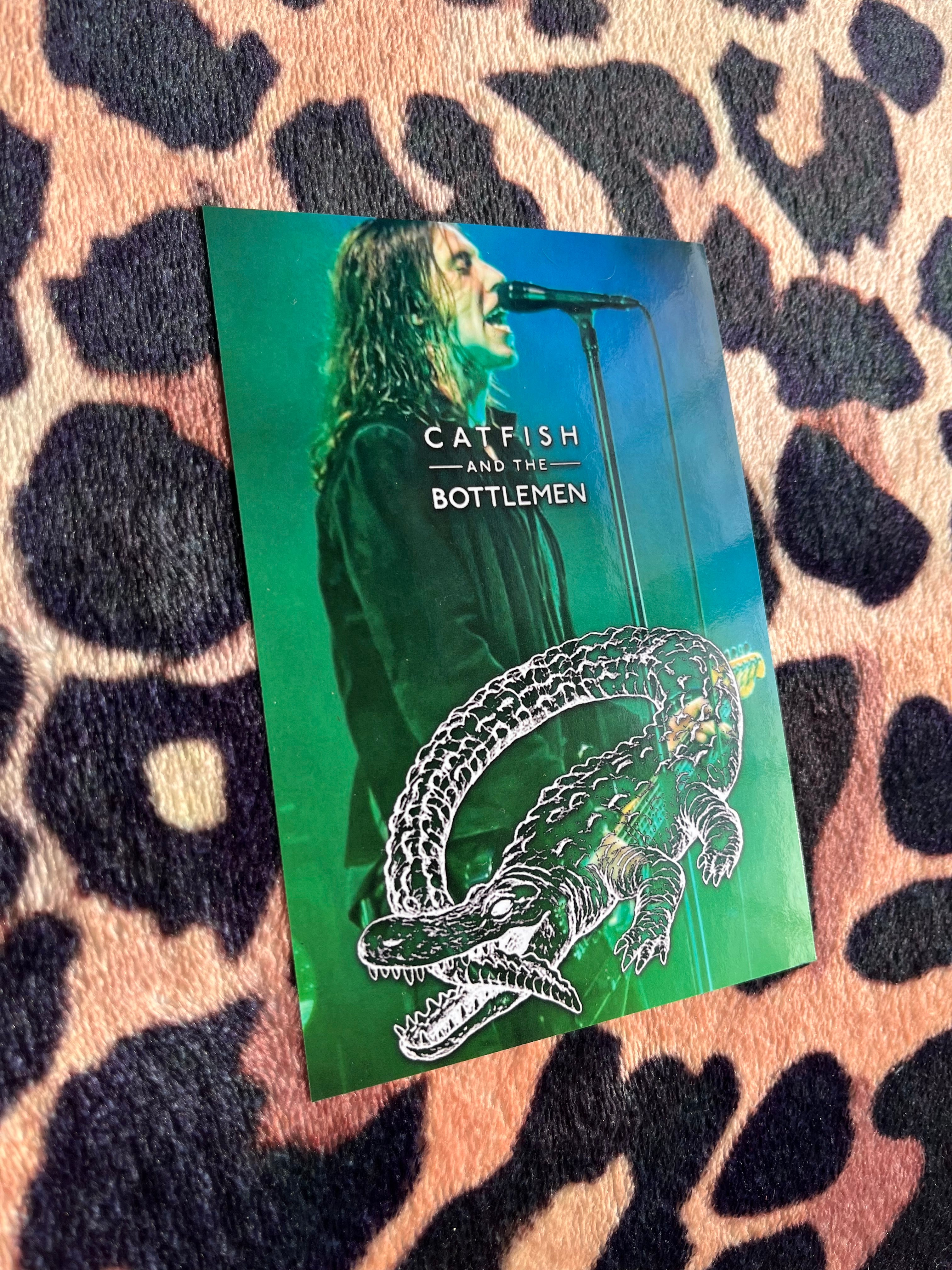 Catfish and the bottlemen poster!