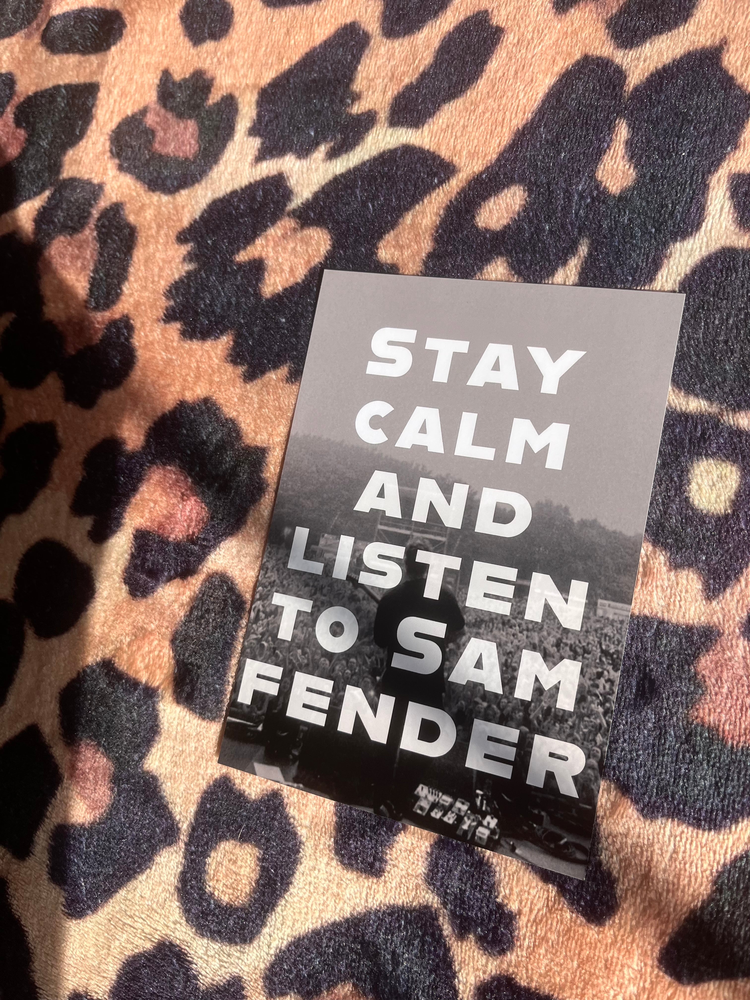 Stay calm and listen to Sam fender poster!