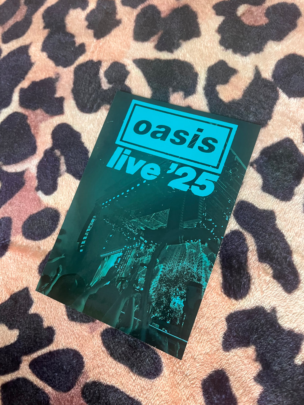Oasis live ‘25 poster in green and blue! 🩵🎸