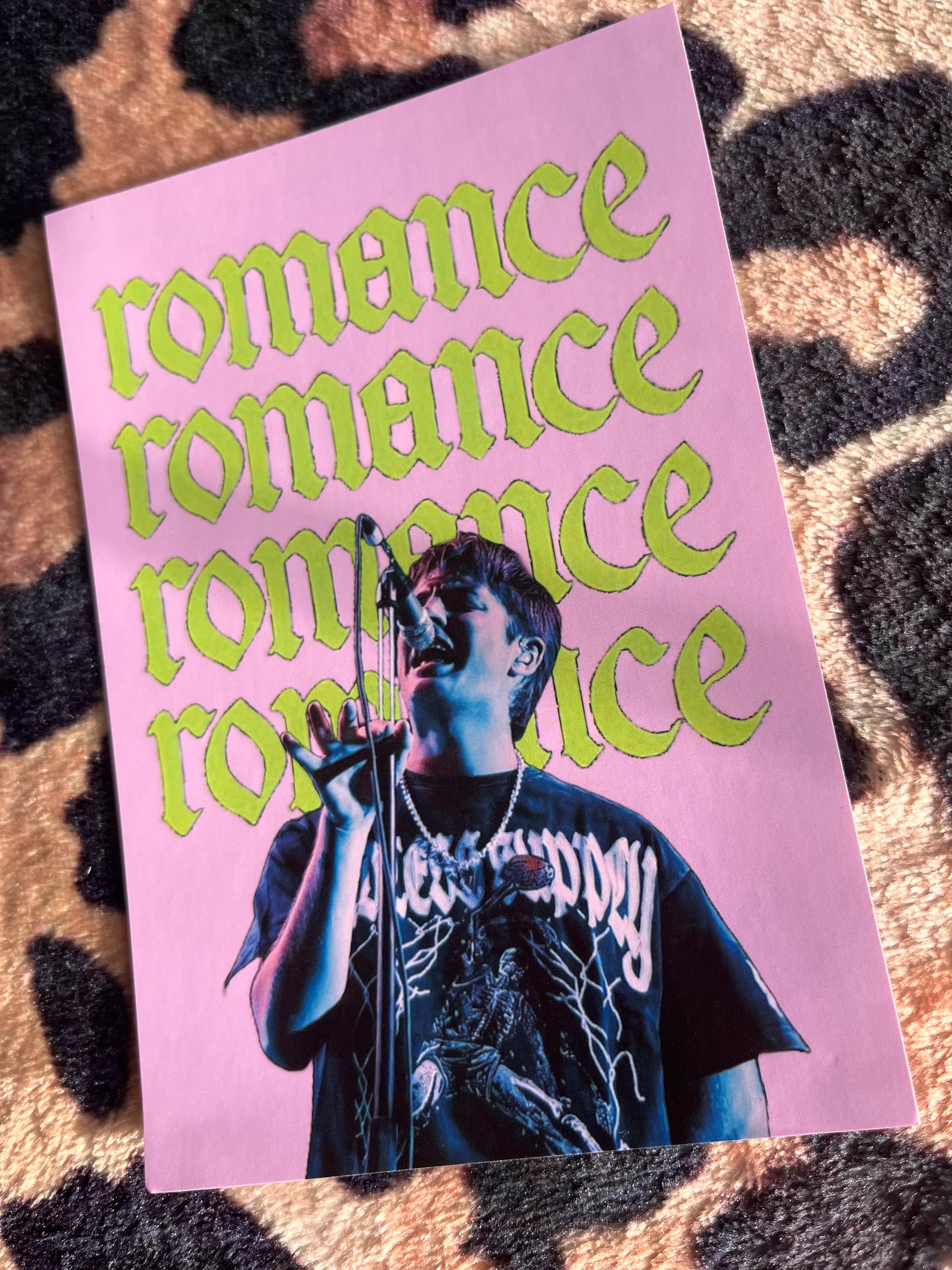 Fontaines DC romance pink poster! 🪲💕