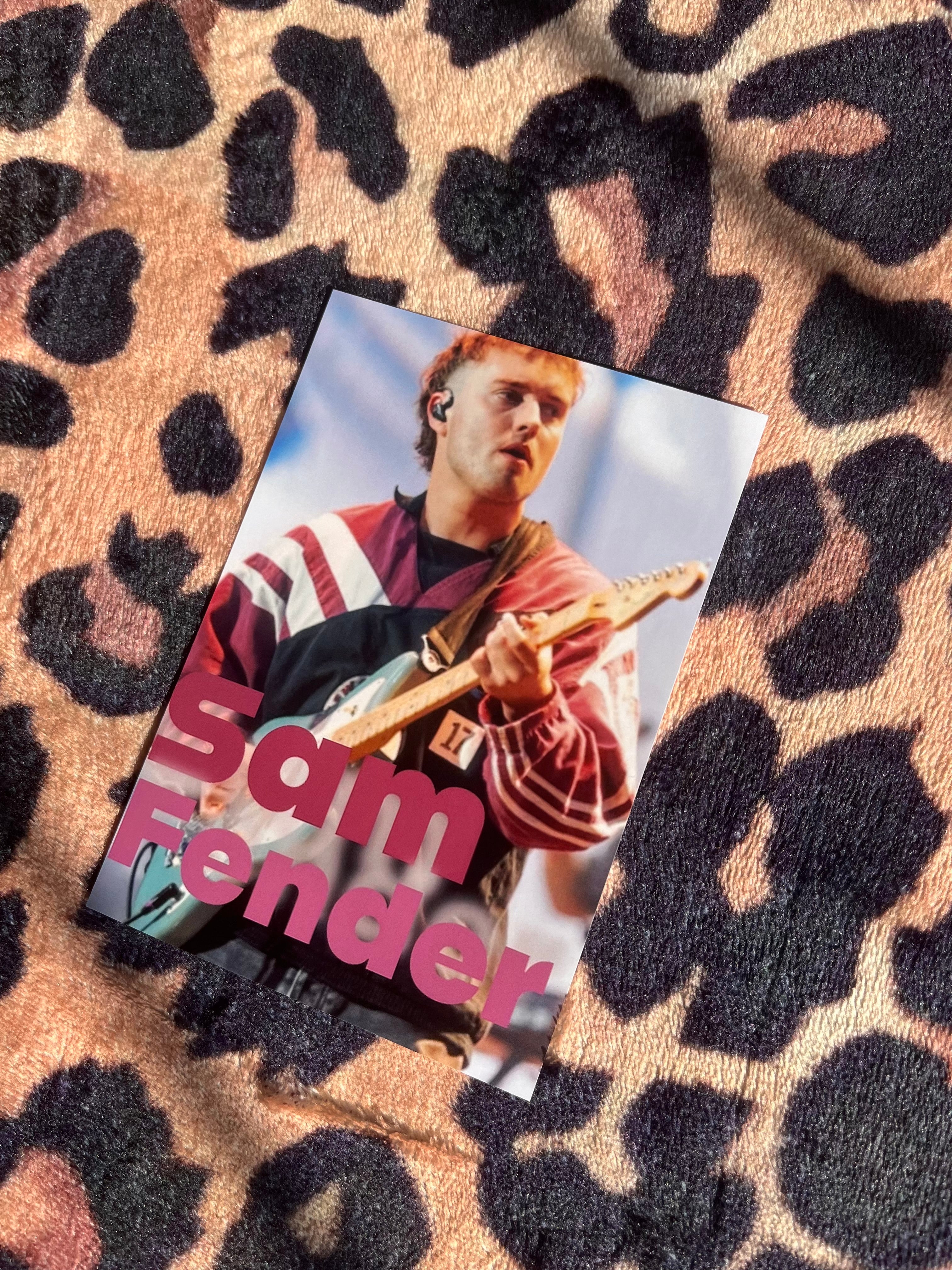 Sam fender poster!