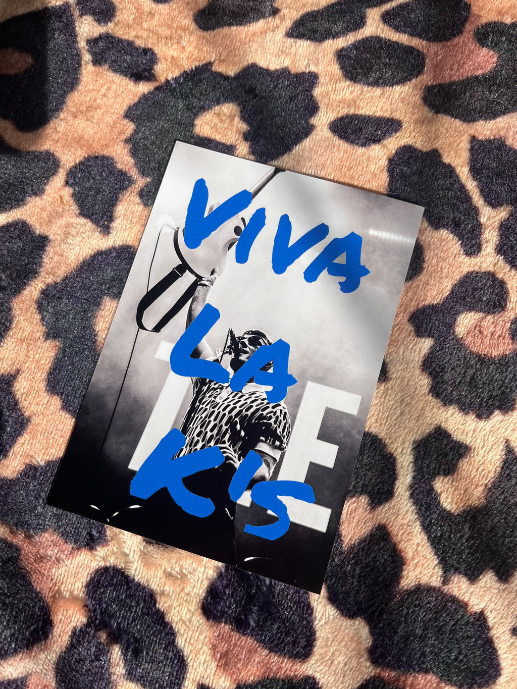 The Ks Viva La Ks poster in blue!
