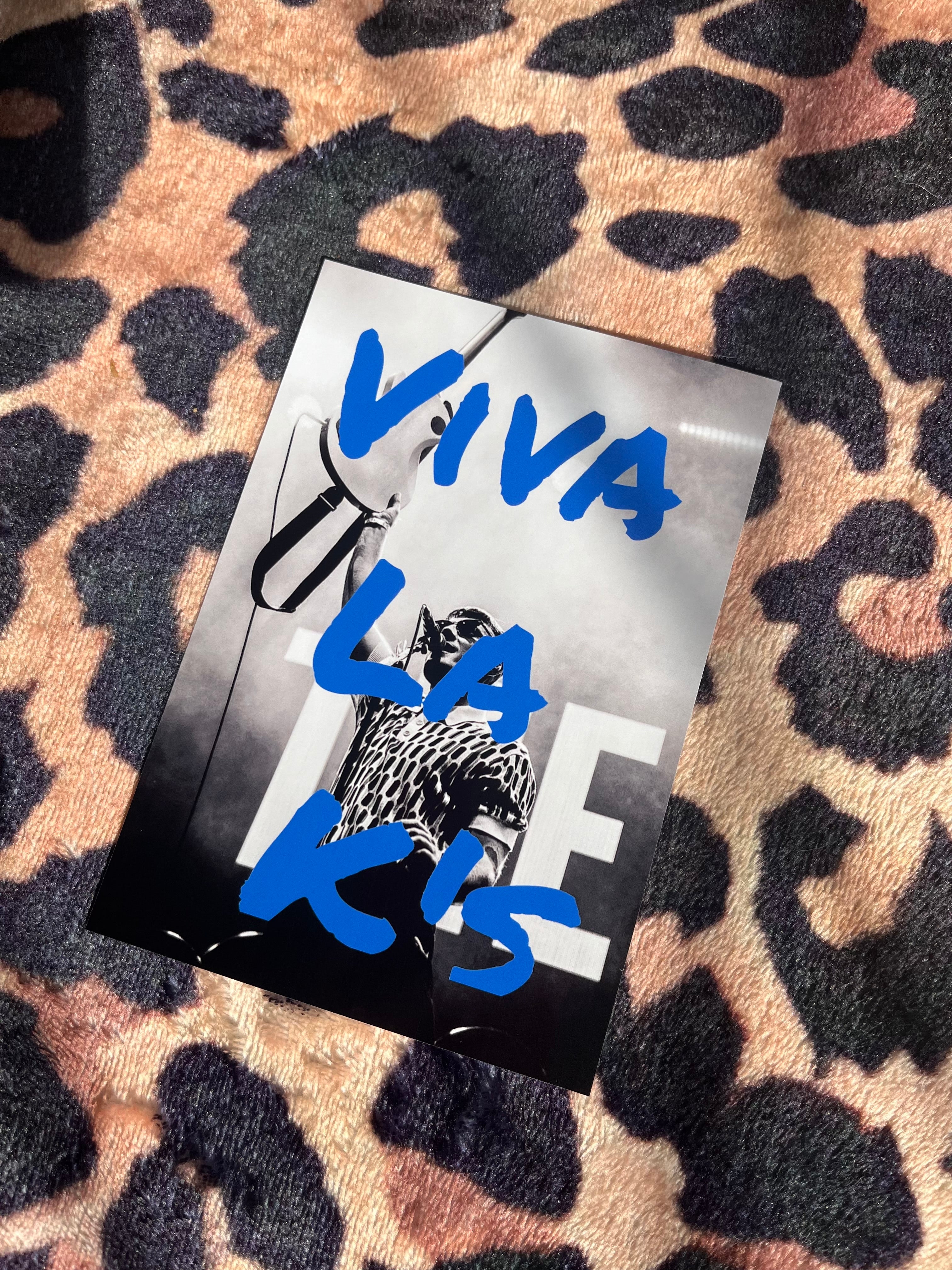 The Ks Viva La Ks poster in blue!