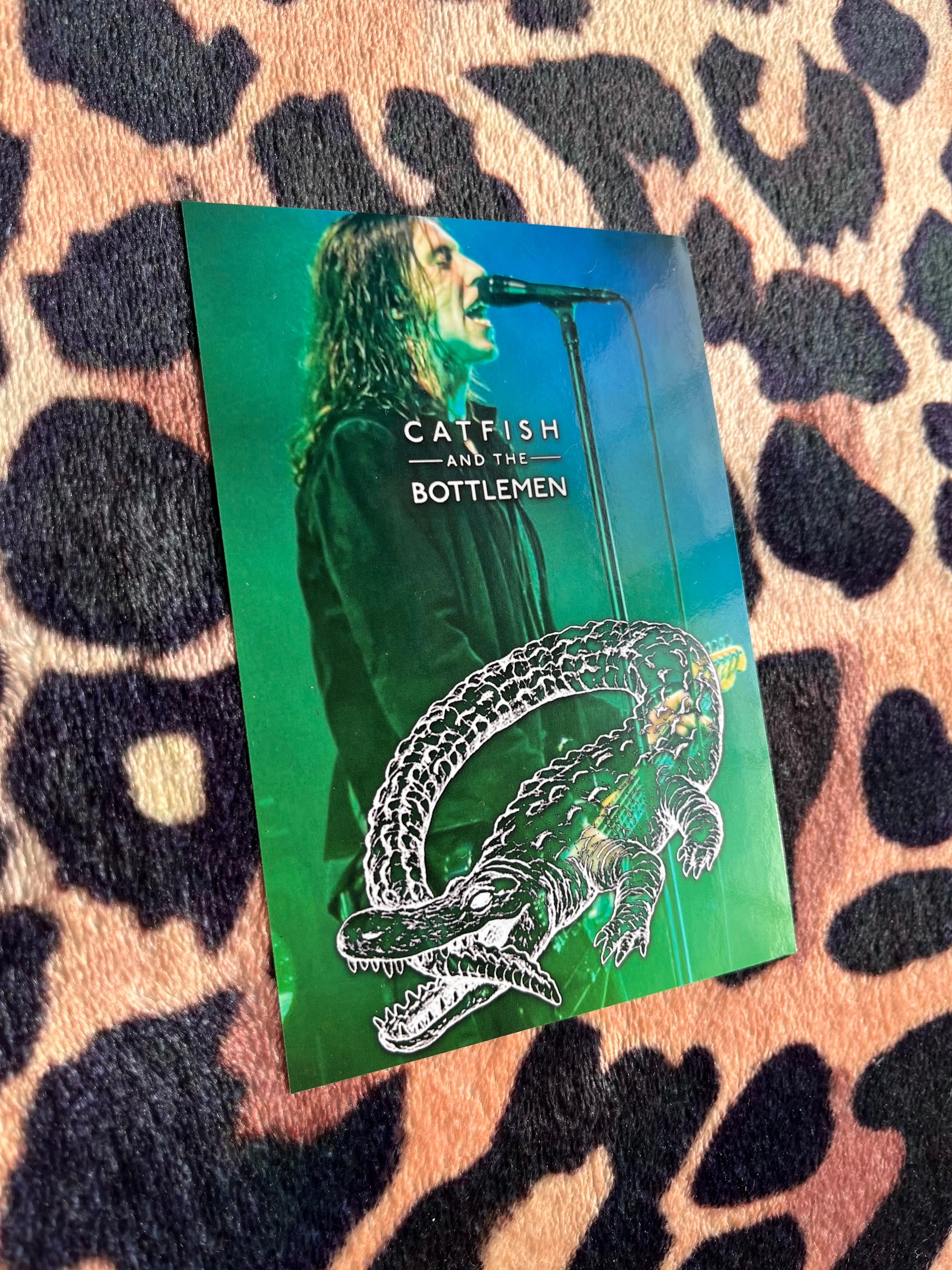 Catfish and the bottlemen poster!
