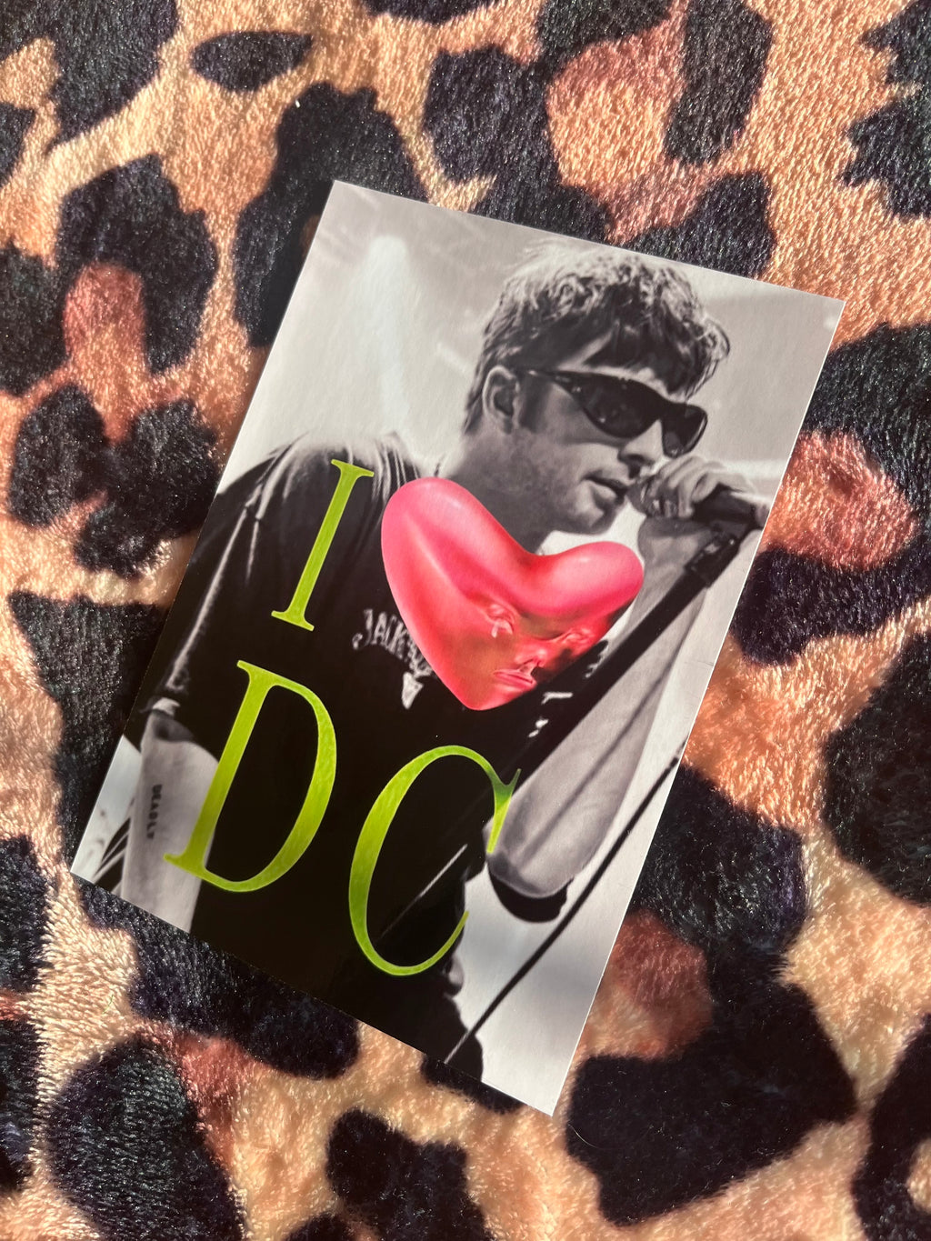 Fontaines DC I love DC poster! 🪲💕