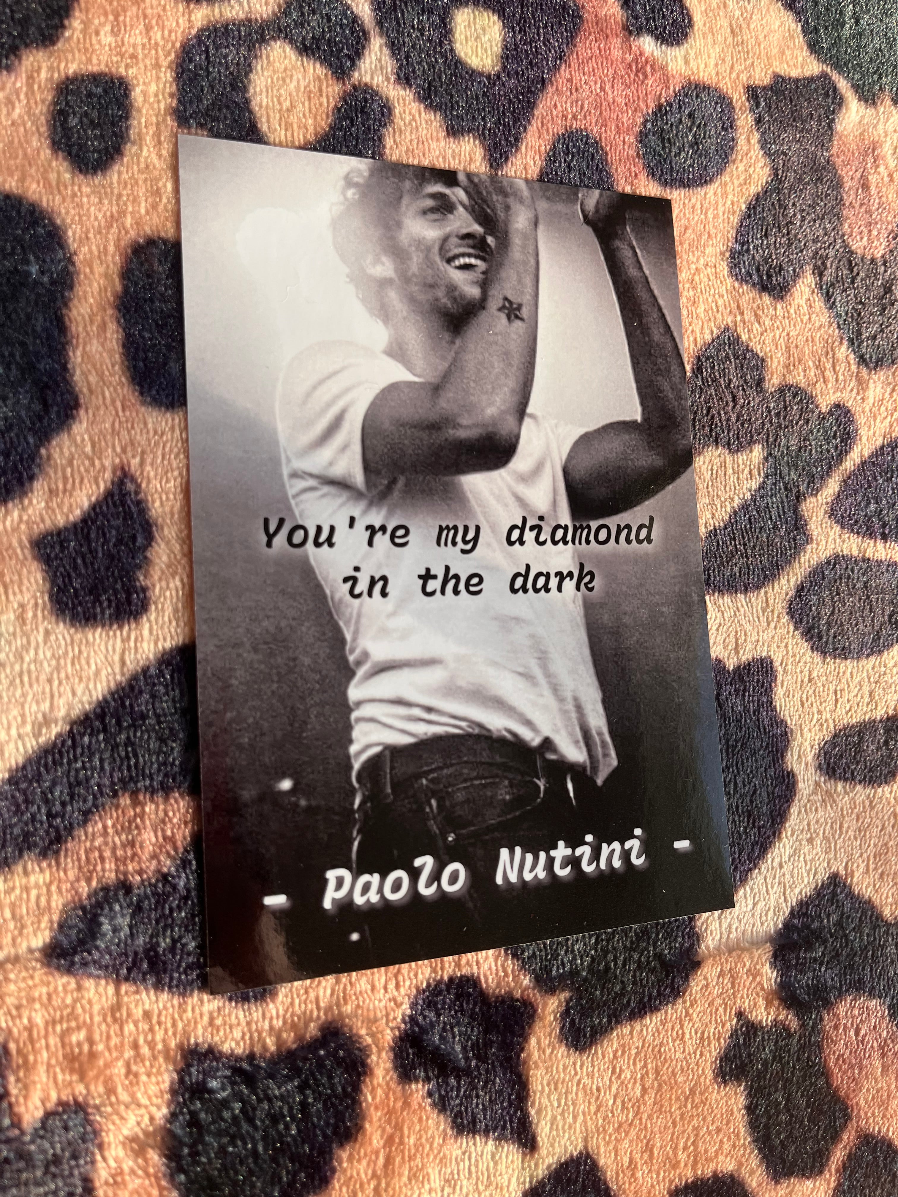 Paolo nutini poster!