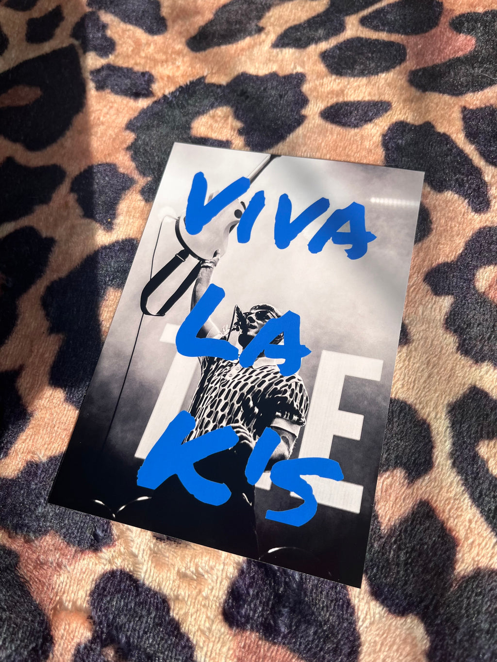 The Ks Viva La Ks poster in blue!
