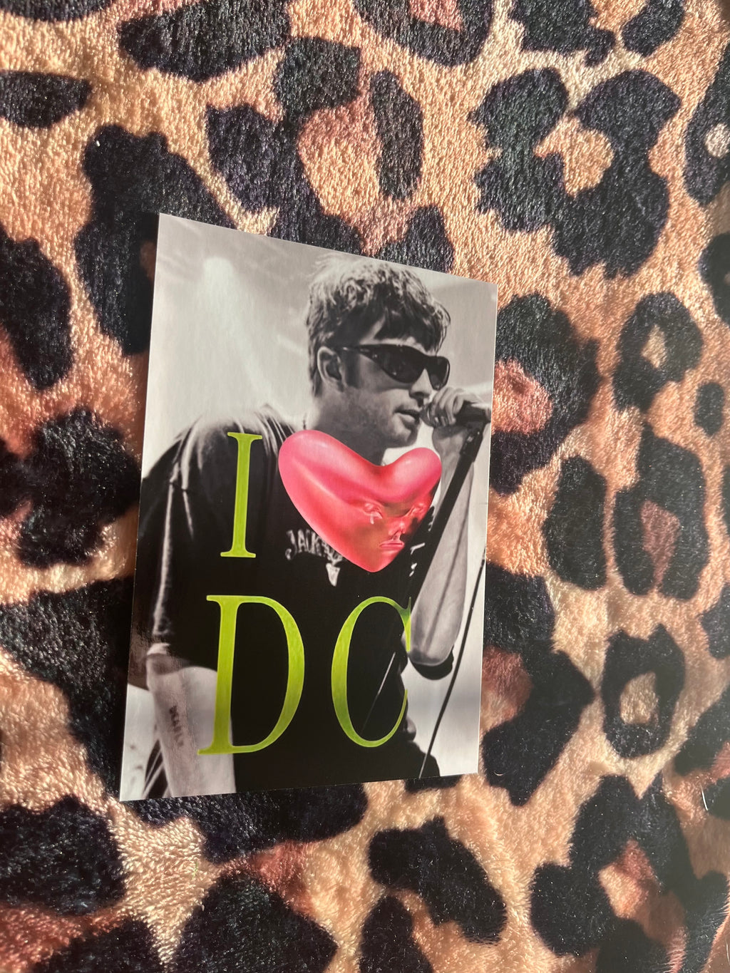 Fontaines DC I love DC poster! 🪲💕