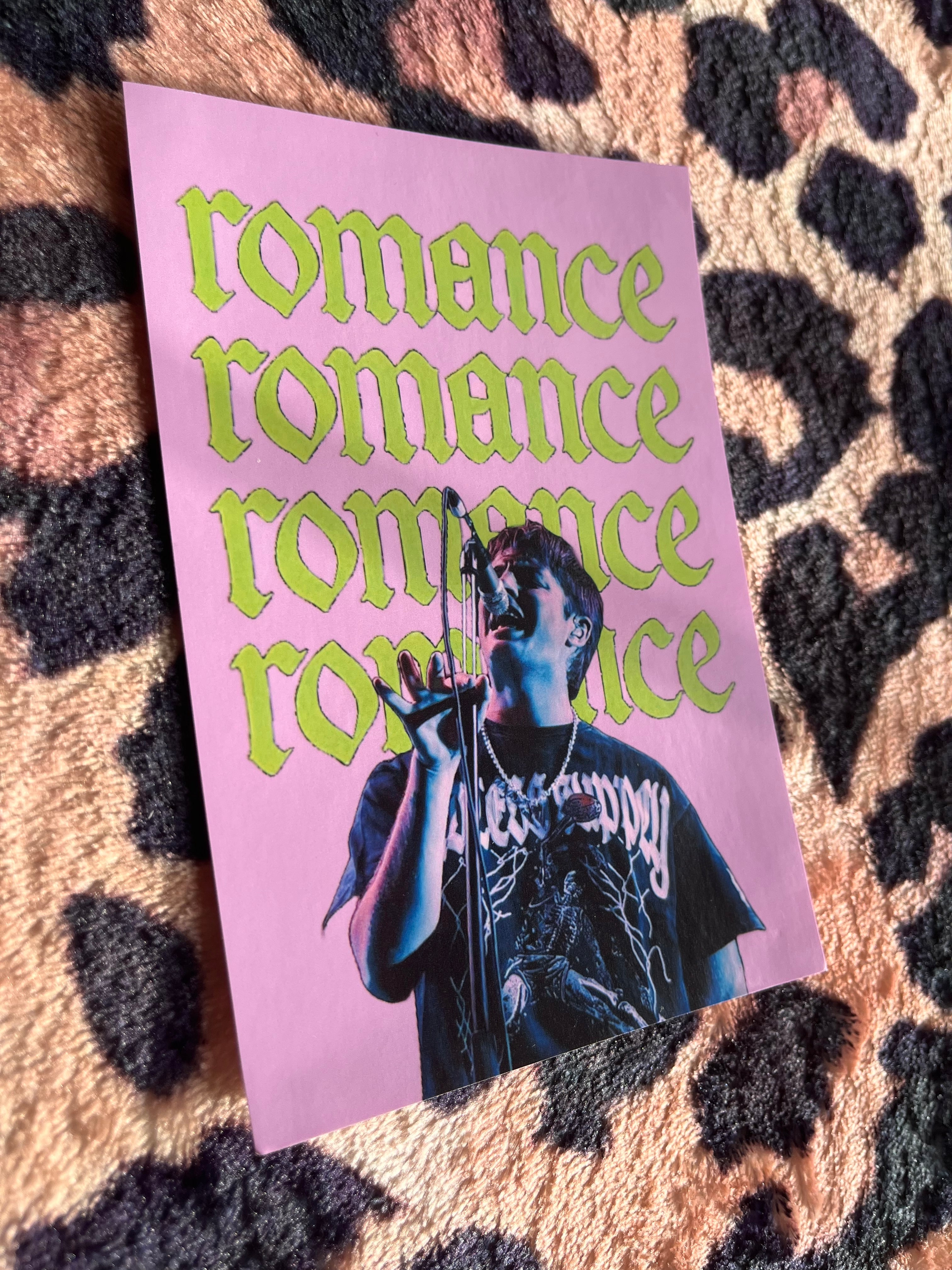 Fontaines DC romance pink poster! 🪲💕