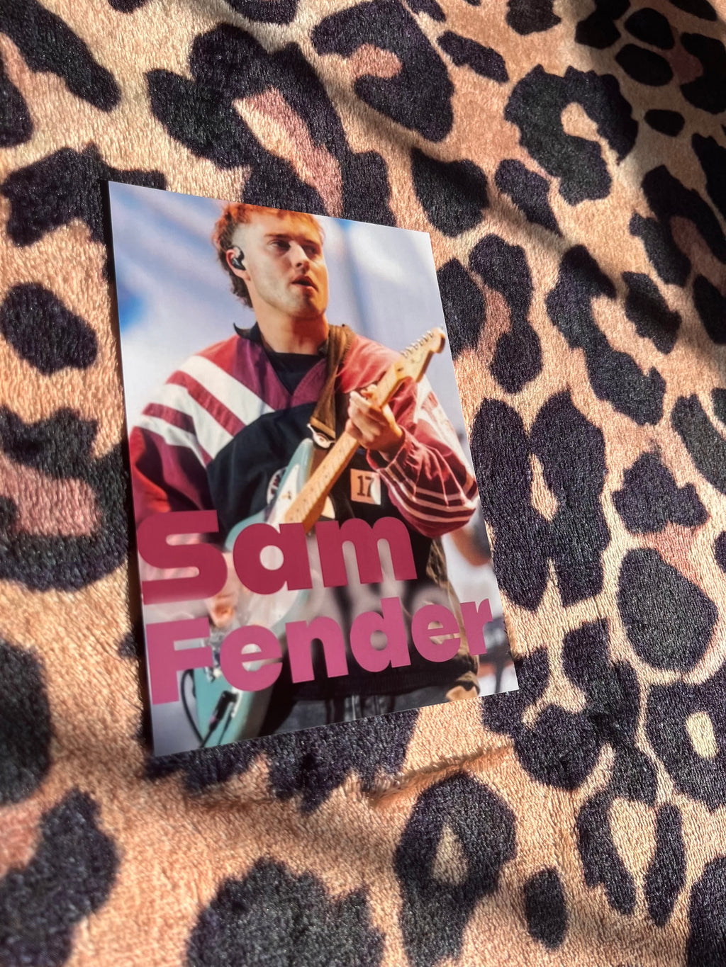 Sam fender poster!